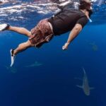 Oahu: Cageless Shark Dive Adventure - A Deep Dive into the Experience