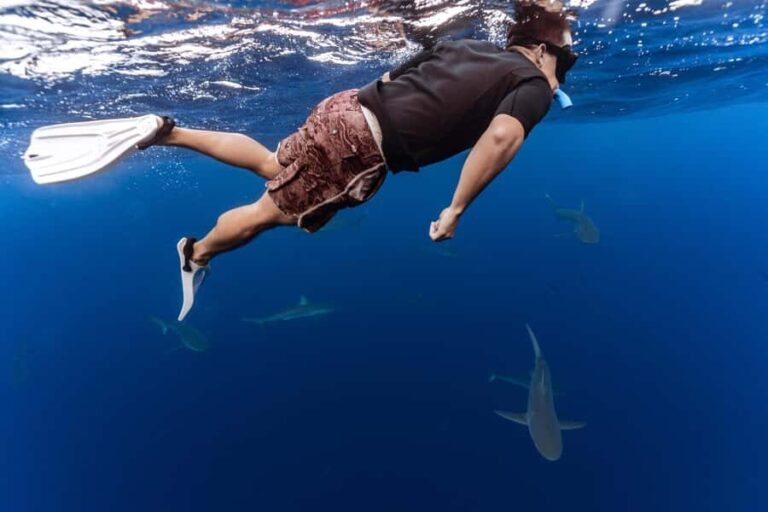 Oahu: Cageless Shark Dive Adventure - A Deep Dive into the Experience