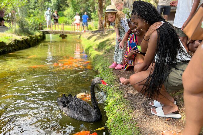Oahu Circle Island Tour Great for Solo Travelers and Small Groups - Who Should Take This Tour?