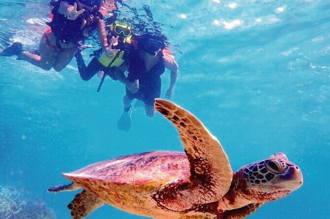 Oahu Circle Island Tour with Snorkeling + Free Perks & Free Wi-Fi - Authentic Experiences and Honest Reflections