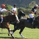 Oahu Polo Game and Private Island Tour from Honolulu - A Closer Look at the Itinerary