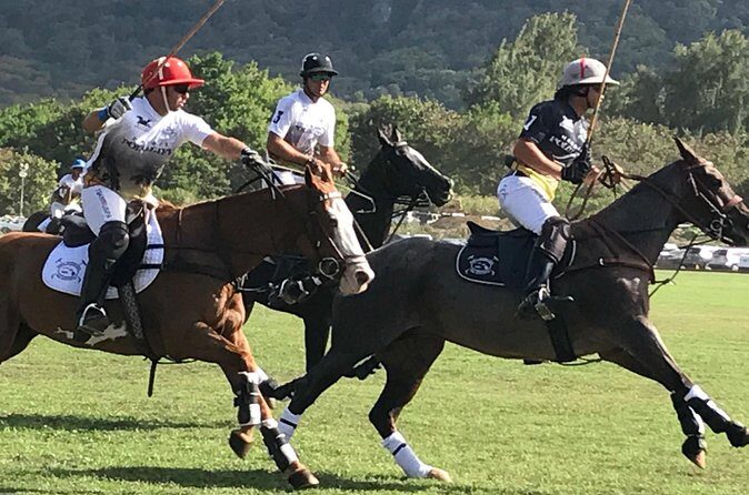 Oahu Polo Game and Private Island Tour from Honolulu - A Closer Look at the Itinerary