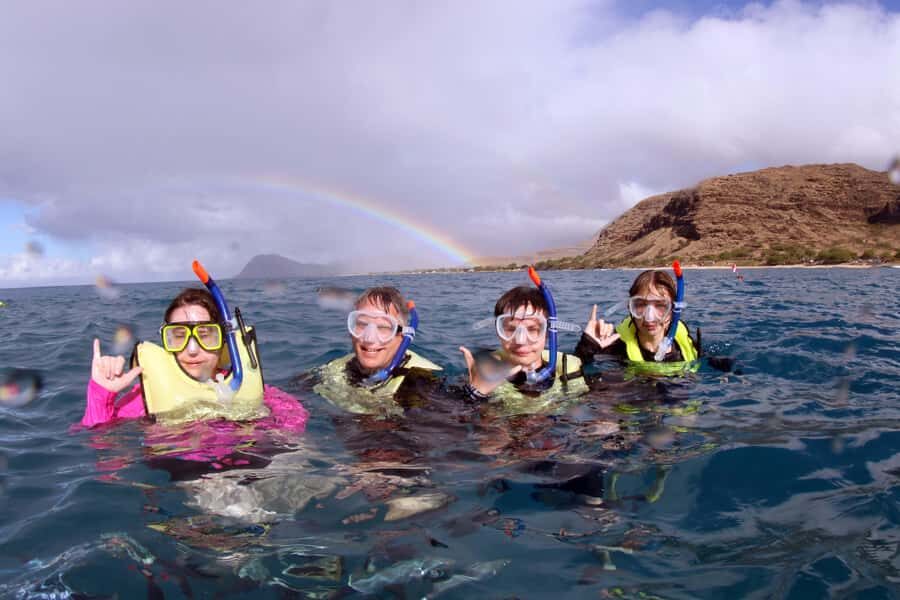 Oahu: Premium Snorkeling Cruise, Whale & Dolphin Watching - Who Should Consider This Tour?
