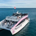 Oahu: Whale Watching Catamaran Tour near Waikiki - The Sum Up