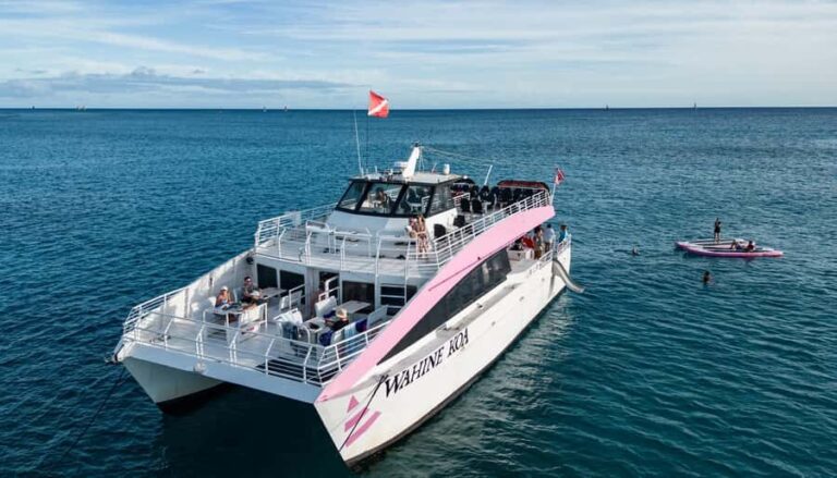 Oahu: Whale Watching Catamaran Tour near Waikiki - The Sum Up