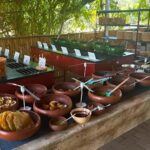 Oaxaca: full-day tour of Monte Alban, ancestral mezcal, alebrijes, and black mud - The Practical Side