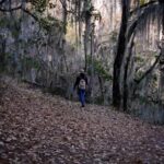 Oaxaca: Hiking Tour In the Sierra Norte With Lunch - Practical Details and Why They Matter