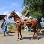 Oaxaca: Horseback Riding and Mezcal Tasting Tour - The Practicalities: What’s Included and What to Know