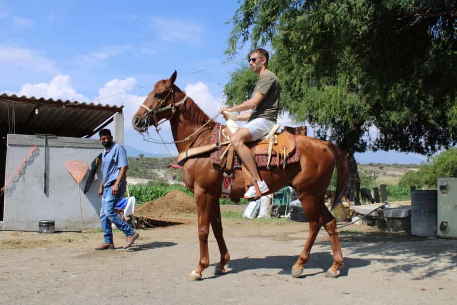 Oaxaca: Horseback Riding and Mezcal Tasting Tour - The Practicalities: What’s Included and What to Know