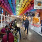 Oaxaca: Mitla Caves, Tlacolula Market, & Textile Tour - Why This Tour Is Worth It