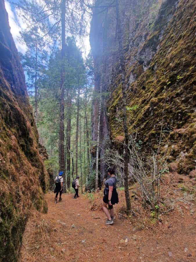 Oaxaca: Pueblos Mancomunados Hiking Tour - Exploring Cuajimoloyas: A Deep Dive