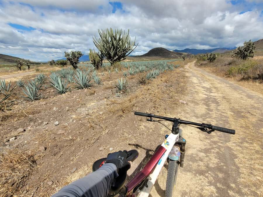 Oaxaca: Spicy MTB Trails & Spicier Tacos - The Ride: Detailed Breakdown of the Oaxaca MTB & Tacos Tour