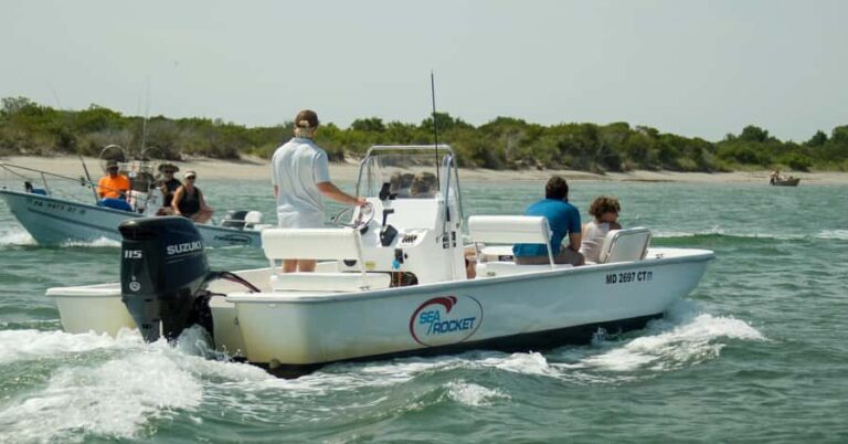 Ocean City: Private Party Assateague Island Cruise - An In-Depth Look at the Assateague Island Private Cruise