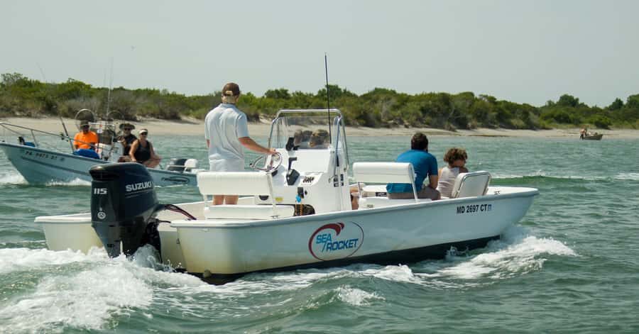 Ocean City: Private Party Assateague Island Cruise - An In-Depth Look at the Assateague Island Private Cruise