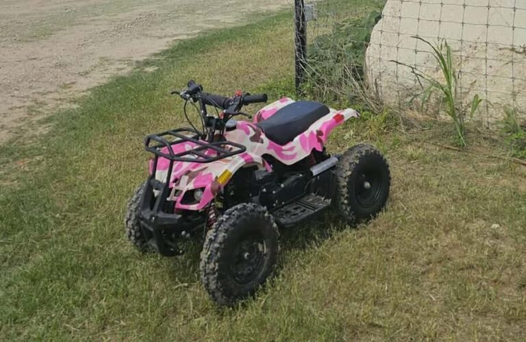 Off-Road Small & Medium ATV Rental at 281cc Park - The Experience Itself: What You Can Expect