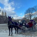 Official Exclusive VIP Horse Carriage Ride in Central Park - Who Will Love This Tour?