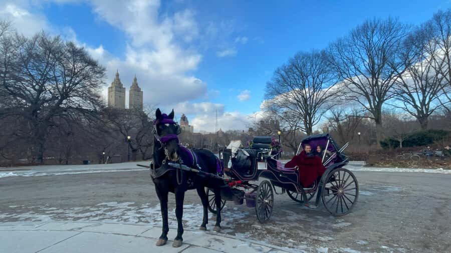 Official Exclusive VIP Horse Carriage Ride in Central Park - Who Will Love This Tour?