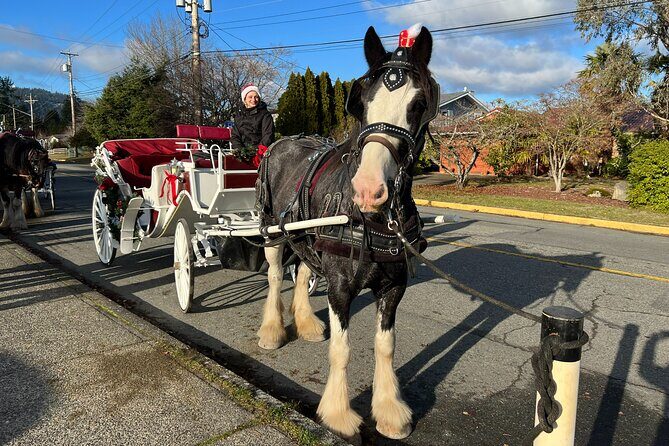 Old fashioned Horse Drawn Caroling Tour - Why We Think This Tour Is Worth Considering