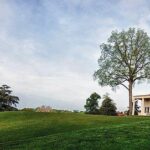 Old Town, Alexandria and Mount Vernon Private Tour - A Closer Look at the Experience