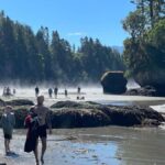 Olympic National Park Tour with Ferry Ride - The Sum Up