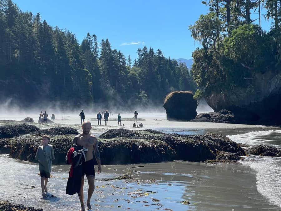 Olympic National Park Tour with Ferry Ride - The Sum Up