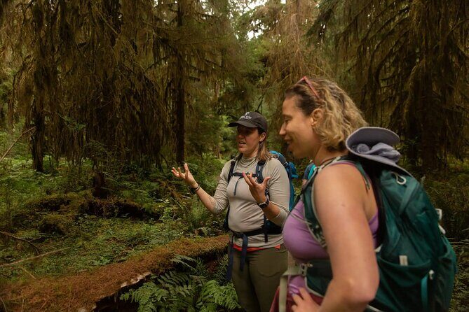 Olympic Two Day Private Tour and Hike - The Experience in Detail