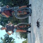 Open Cenote Bike and Swim Tour in the Jungle - The Details of the Experience