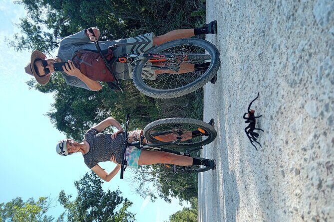 Open Cenote Bike and Swim Tour in the Jungle - The Details of the Experience