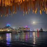 Original Cruisin Tikis Harbor Lights Cruise - Who Will Love This Tour?