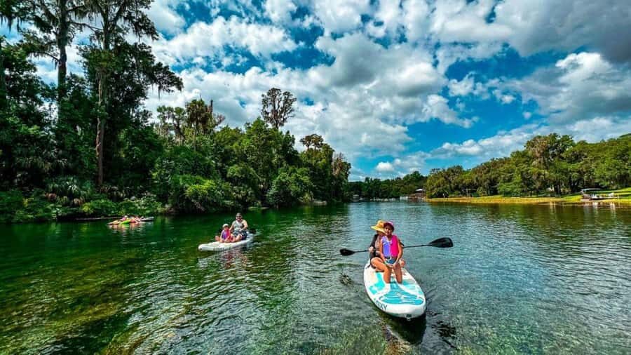 Orlando: Lake Conway Paddle Board or Kayak Tour - Choosing Your Vessel: Paddle Board or Kayak