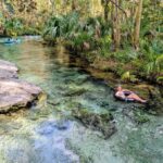 Orlando: Rock Springs Tubing & Apopka Wildlife Trail Tour - The Tubing Experience at Rock Springs