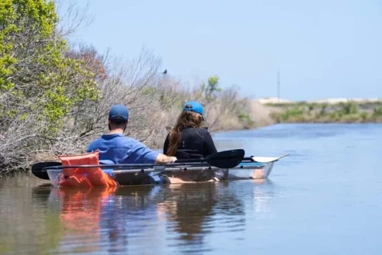 Outer Banks: Bodie Island Clear Kayak Tour - The Sum Up: Who’s This Experience For?