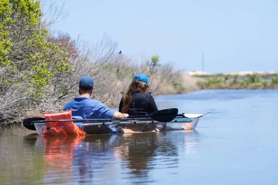 Outer Banks: Bodie Island Clear Kayak Tour - The Sum Up: Who’s This Experience For?