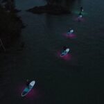 Paddle Out at Dusk for Glow Night Cruise in Gordon Bay - An In-Depth Look at the Glow Night Paddleboard Cruise