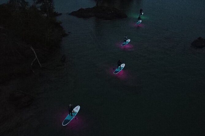 Paddle Out at Dusk for Glow Night Cruise in Gordon Bay - An In-Depth Look at the Glow Night Paddleboard Cruise