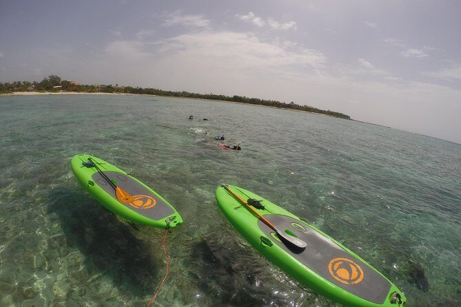 Paddleboard Rentals 3, 5 , 7 days - What to Expect During Your Paddleboard Rental