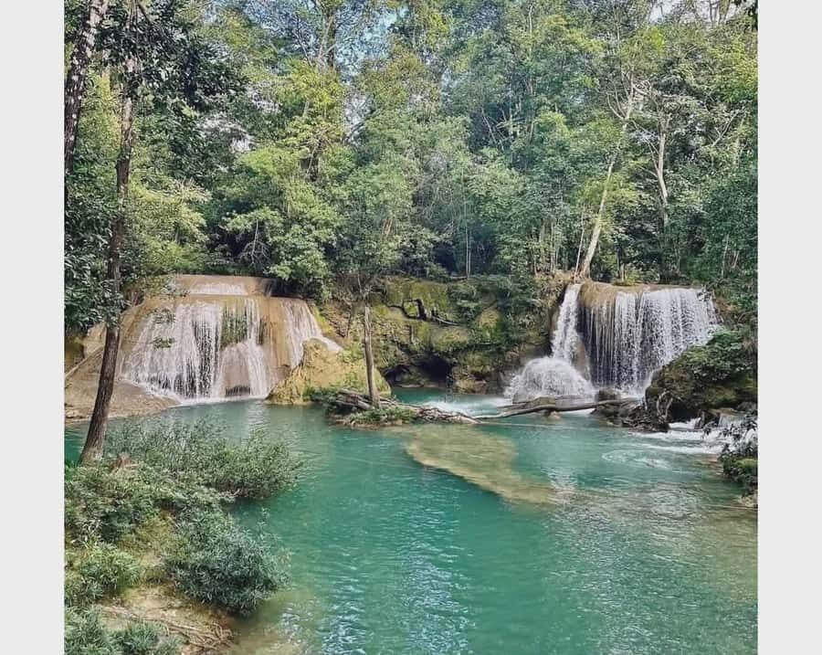 Palenque: Roberto Barrios Waterfalls & Cacao Ceremony - The Cacao Ceremony and Sound Therapy