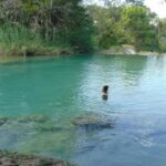 Palenque to San Cristóbal Transfer: Falls & Daylight Arrival - Final Thoughts