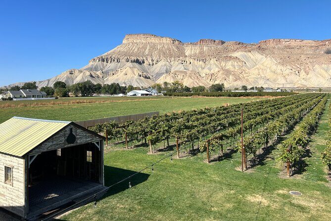 Palisade Wine Tour Luxury Wine Tasting Experience - Why This Tour Offers Great Value