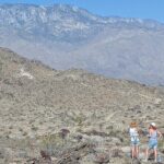 Palm Springs Hike to an Oasis and Amazing Desert Views - The Experience: Guided, Informative, and Personal