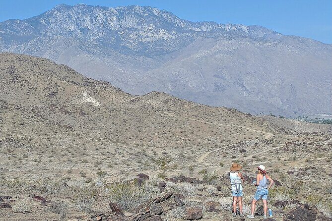 Palm Springs Hike to an Oasis and Amazing Desert Views - The Experience: Guided, Informative, and Personal