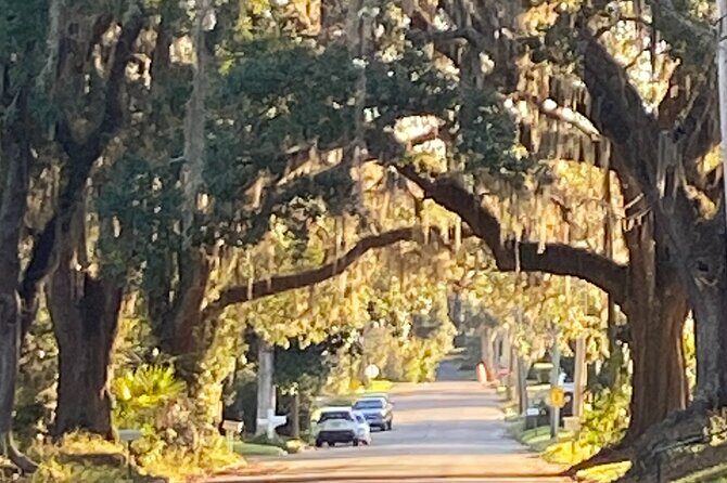 Palmetto Pioneers and Self Guided Monticello Walking Tour - In-Depth Breakdown of the Itinerary