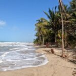 Palomino Horseback Riding Tour - The Sum Up: Is the Palomino Horseback Riding Tour Worth It?