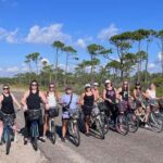 Panama City: Bike Rental with Smartphone Tour - A Closer Look at the Experience