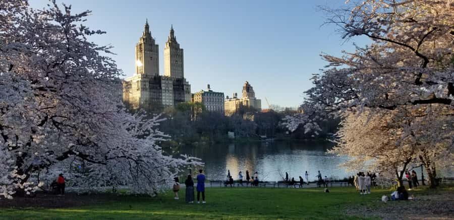 Parisian New York walking tour - A Closer Look at the Itinerary and Highlights