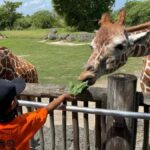 Passin Miami: 30+ Attractions, eSIM & 1-Way Airport Transfer - A Close Look at the Itinerary and Attractions