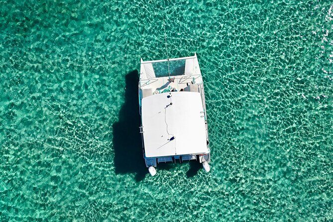 Peanut Island Sandbar and Swim Tour - The Sandbar Stop: A Shallow Slice of Paradise
