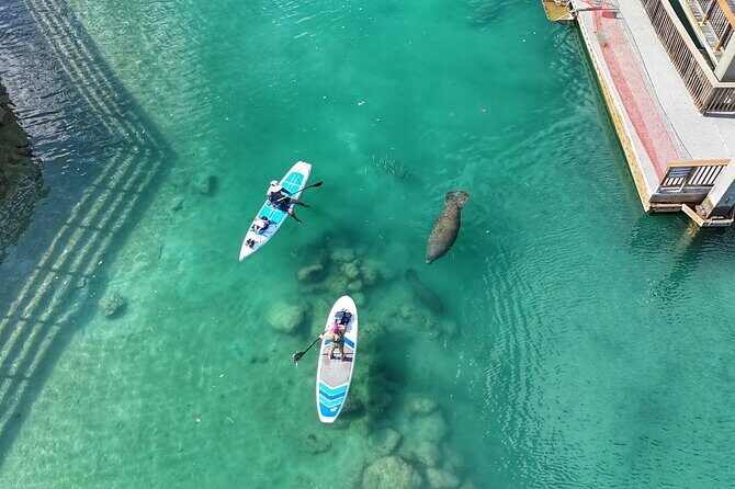 Peanut Island Sunrise Paddle Boarding Adventure - A Closer Look at the Peanut Island Sunrise Paddle Adventure
