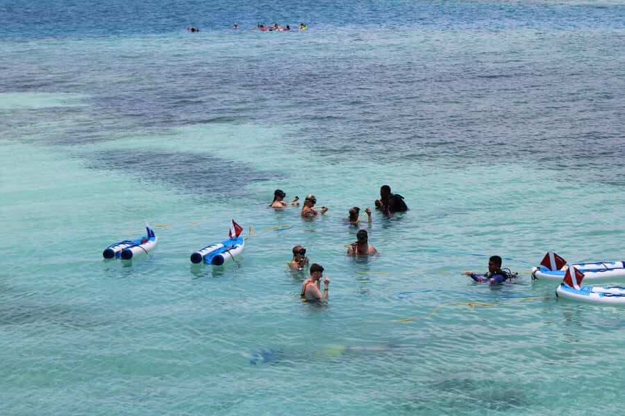 Pelican Rock: SNUBA Underwater Experience with Guide - A Deeper Look at the Pelican Rock SNUBA Tour