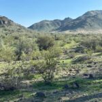 Phoenix: Guided Mountain Bike Adventure in Sonoran Desert - An Authentic Ride in the Heart of Phoenix’s Sonoran Desert